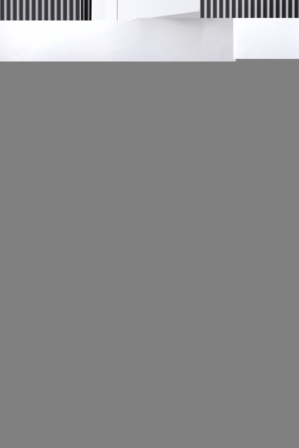 Гладильная система B4312 в интернет-магазине Miele Shop - фото 2